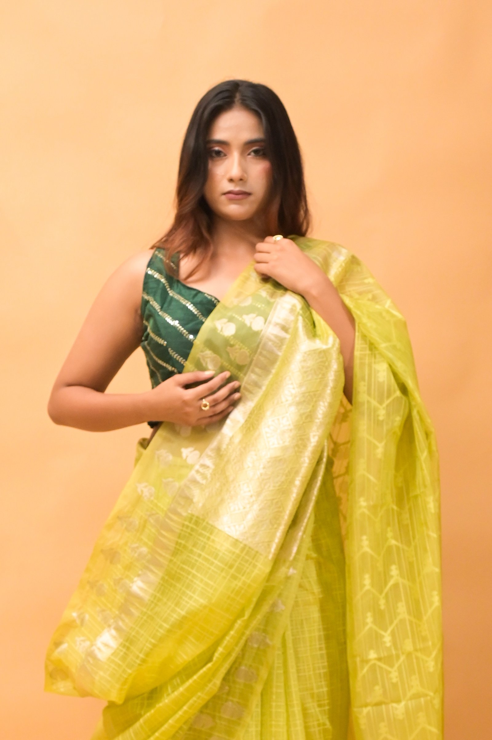 Elegant Check Pattern Lime Green Banarasi Kora Saree with Blouse